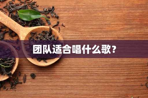 团队适合唱什么歌？