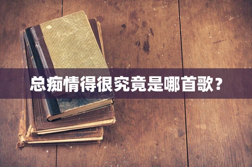 总痴情得很究竟是哪首歌？