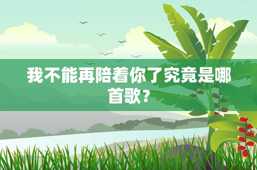 我不能再陪着你了究竟是哪首歌？