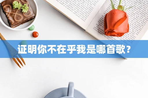 证明你不在乎我是哪首歌？