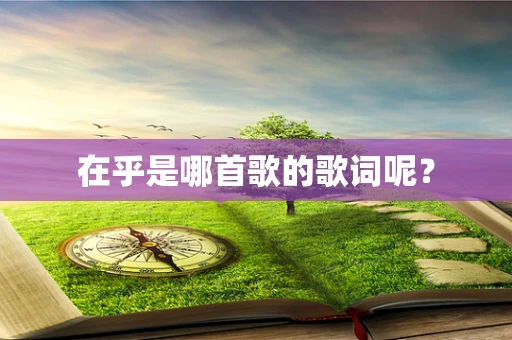 在乎是哪首歌的歌词呢？