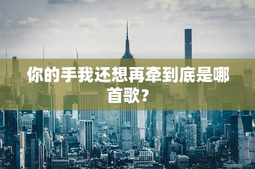 你的手我还想再牵到底是哪首歌？