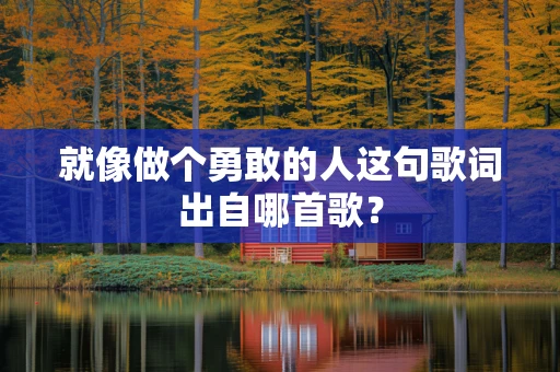 就像做个勇敢的人这句歌词出自哪首歌？