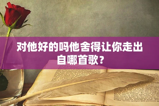 对他好的吗他舍得让你走出自哪首歌？
