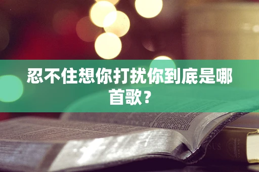 忍不住想你打扰你到底是哪首歌？
