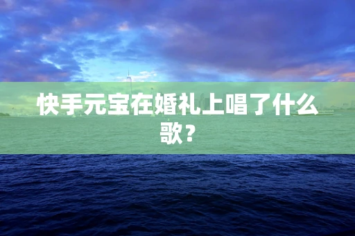 快手元宝在婚礼上唱了什么歌？