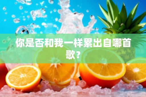 你是否和我一样累出自哪首歌？