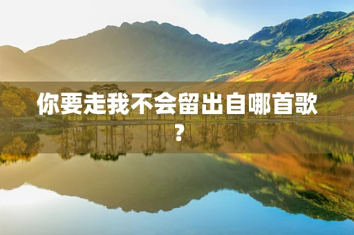 你要走我不会留出自哪首歌？