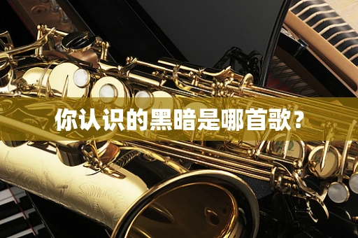 你认识的黑暗是哪首歌？