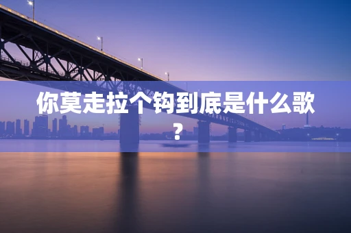 你莫走拉个钩到底是什么歌？