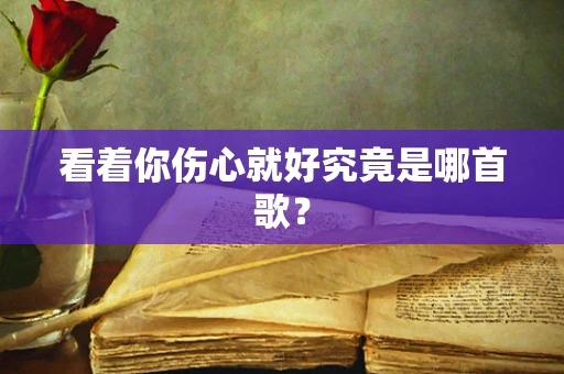 看着你伤心就好究竟是哪首歌？