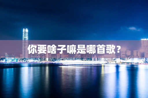 你要啥子嘛是哪首歌？