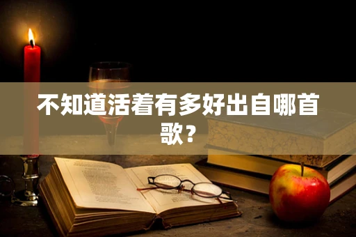 不知道活着有多好出自哪首歌？