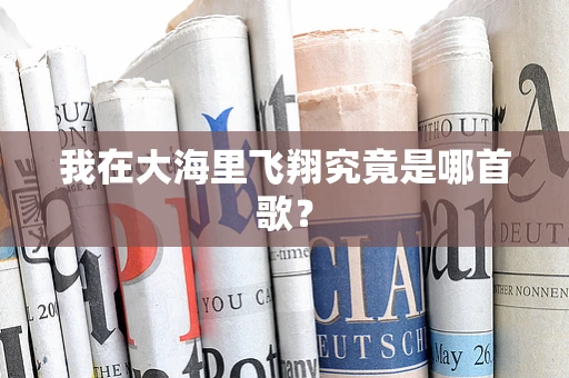 我在大海里飞翔究竟是哪首歌？