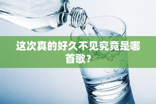 这次真的好久不见究竟是哪首歌？