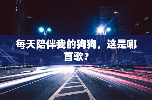 每天陪伴我的狗狗，这是哪首歌？