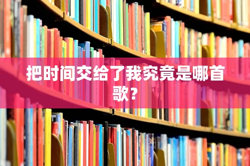 把时间交给了我究竟是哪首歌？