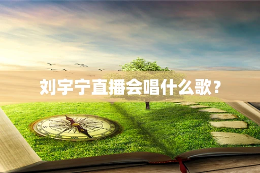 刘宇宁直播会唱什么歌？