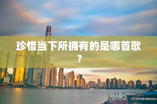 珍惜当下所拥有的是哪首歌？