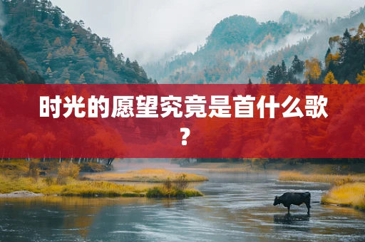 时光的愿望究竟是首什么歌？