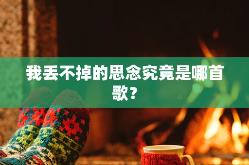 我丢不掉的思念究竟是哪首歌？