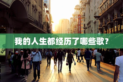 我的人生都经历了哪些歌？