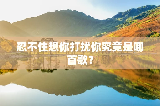 忍不住想你打扰你究竟是哪首歌？