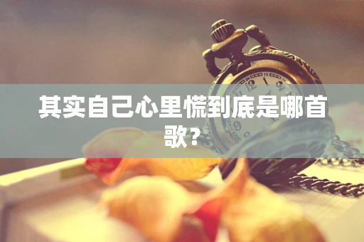 其实自己心里慌到底是哪首歌？