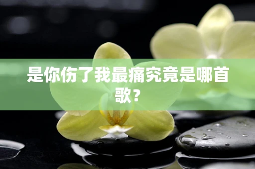 是你伤了我最痛究竟是哪首歌？