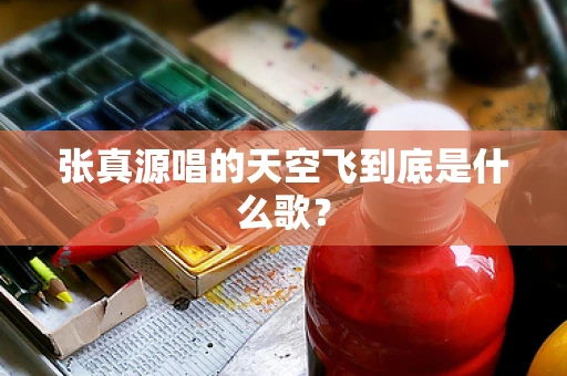 张真源唱的天空飞到底是什么歌？