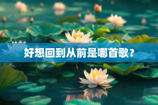 好想回到从前是哪首歌？