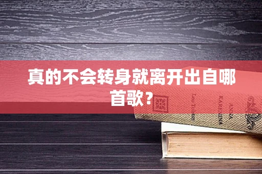 真的不会转身就离开出自哪首歌？