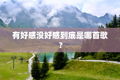 有好感没好感到底是哪首歌？