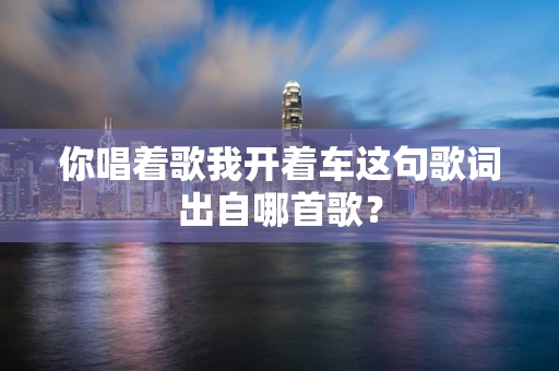 你唱着歌我开着车这句歌词出自哪首歌？