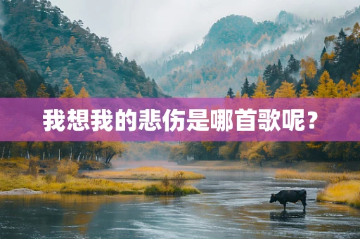 我想我的悲伤是哪首歌呢？