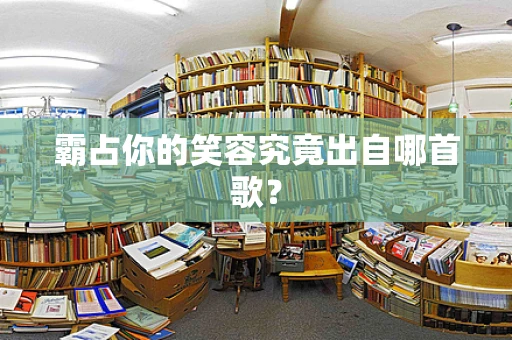 霸占你的笑容究竟出自哪首歌？