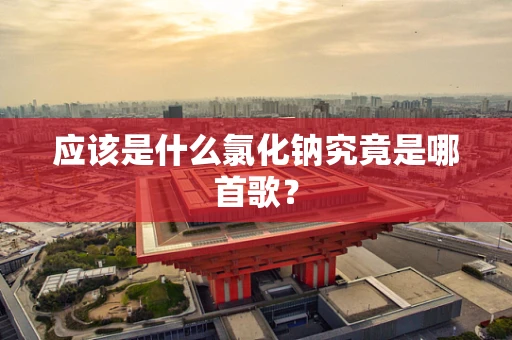 应该是什么氯化钠究竟是哪首歌？