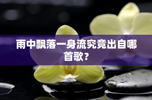 雨中飘落一身流究竟出自哪首歌？