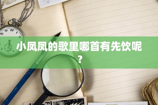 小凤凤的歌里哪首有先饮呢？