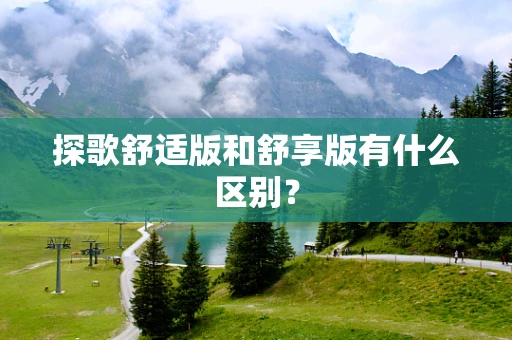 探歌舒适版和舒享版有什么区别？