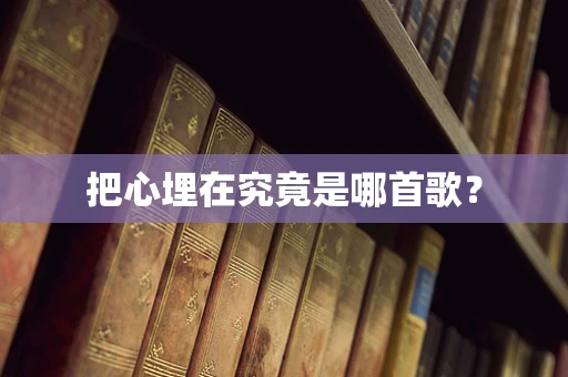 把心埋在究竟是哪首歌？