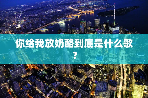 你给我放奶酪到底是什么歌？