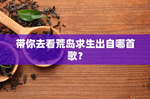 带你去看荒岛求生出自哪首歌？