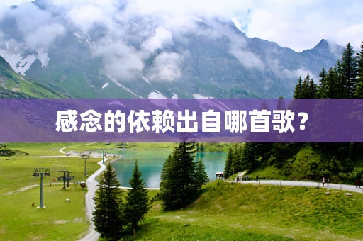 感念的依赖出自哪首歌？