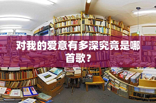 对我的爱意有多深究竟是哪首歌？