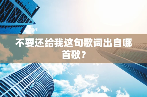 不要还给我这句歌词出自哪首歌？