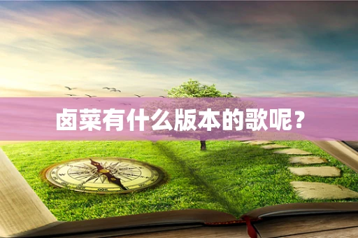 卤菜有什么版本的歌呢？