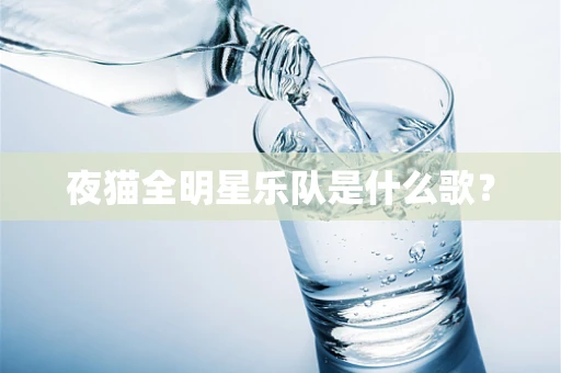 夜猫全明星乐队是什么歌？