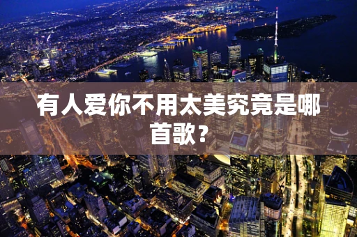 有人爱你不用太美究竟是哪首歌？