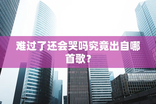 难过了还会哭吗究竟出自哪首歌？